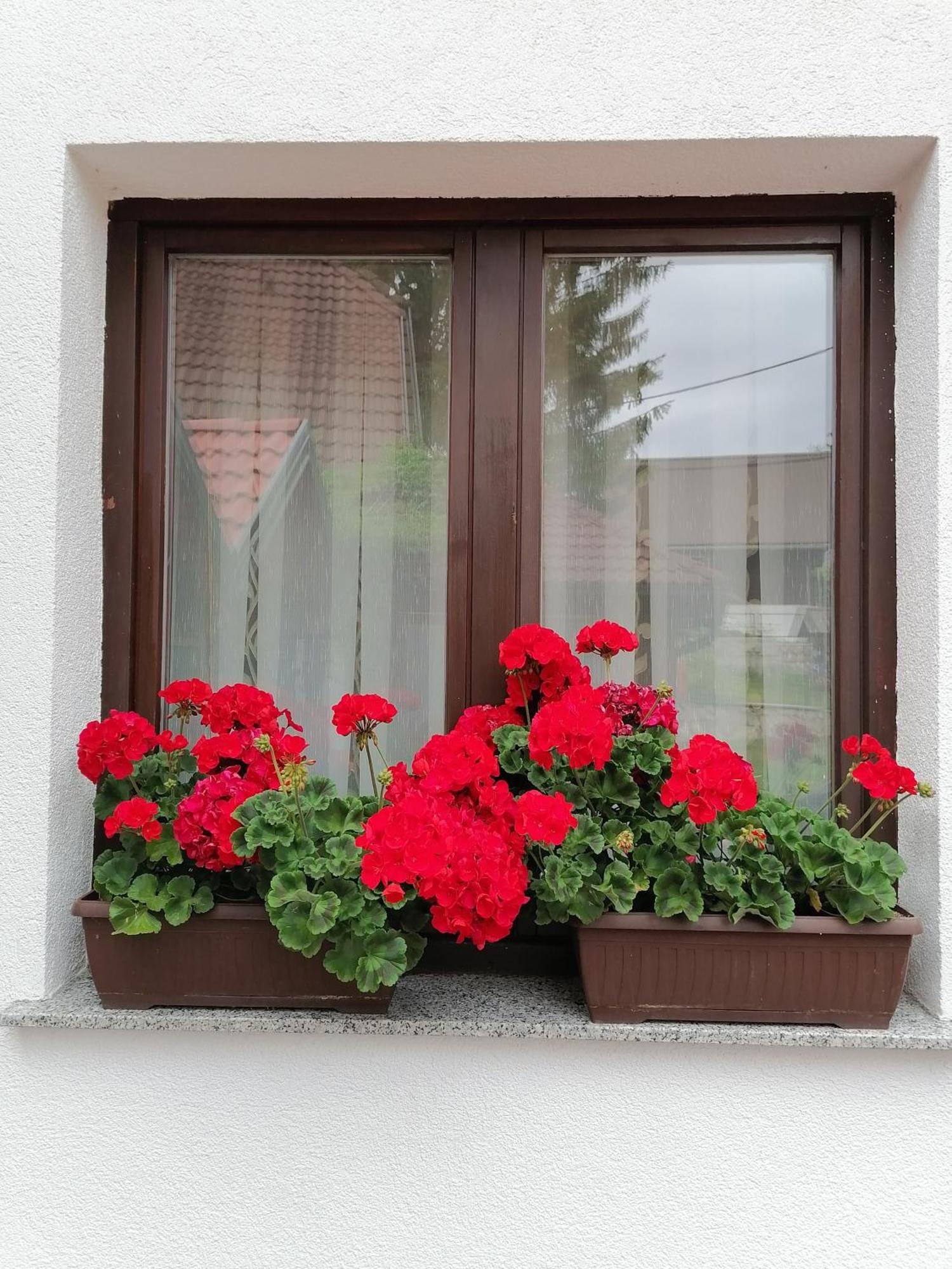 House Jezerka Hotell Jezerce Rom bilde
